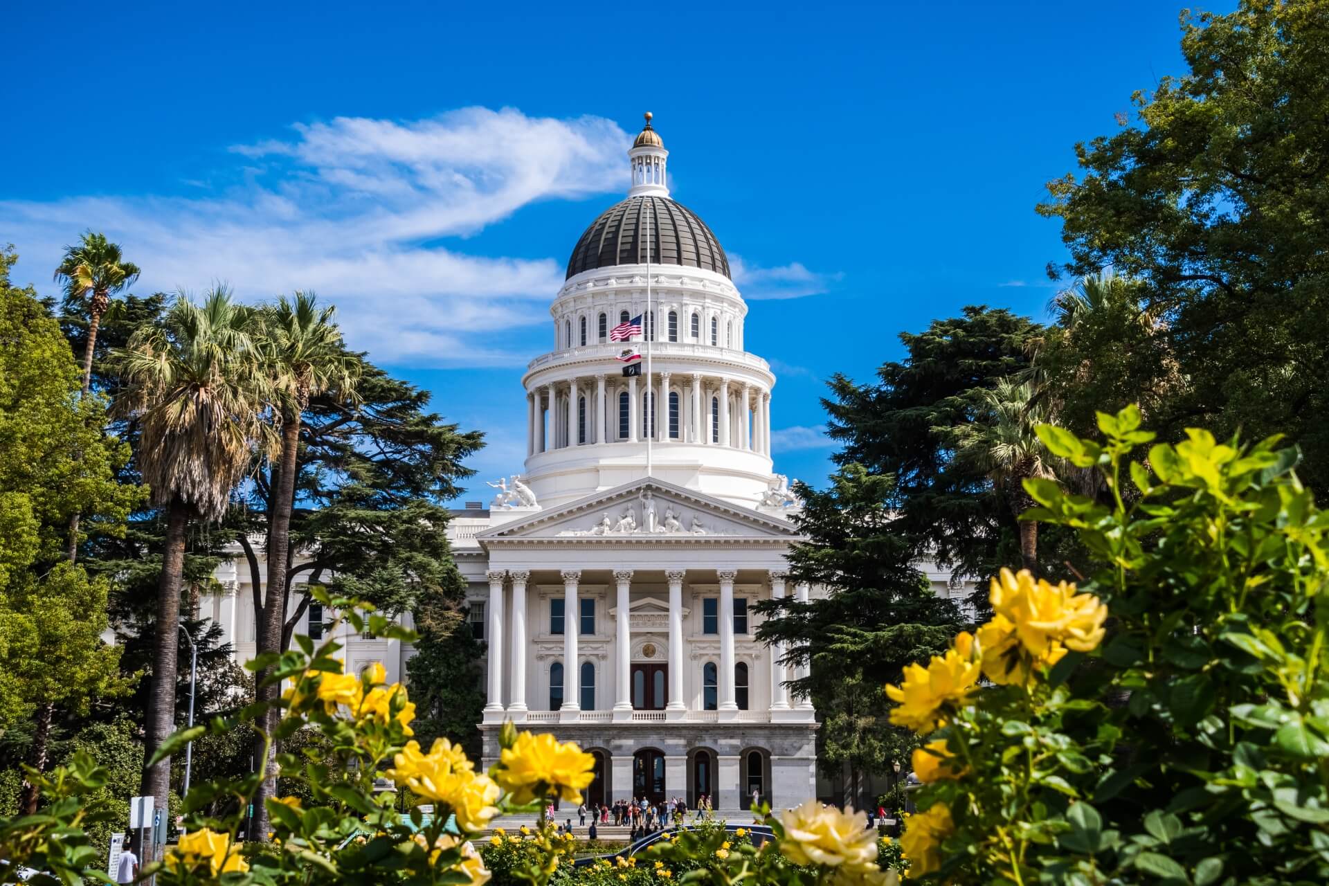 Understanding The Private Attorneys General Act